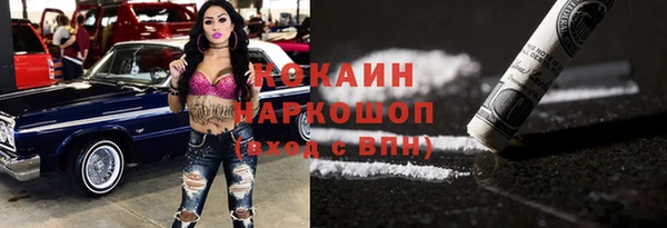 шишки Арсеньев