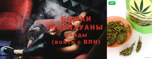 шишки Арсеньев