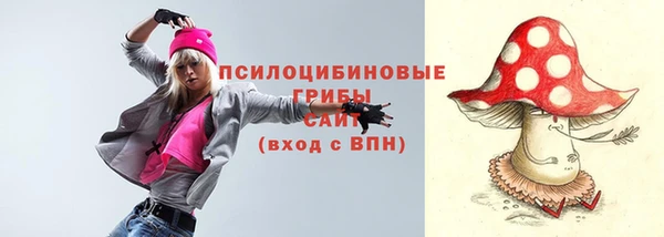 соль ск Аркадак