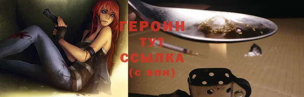шишки Арсеньев