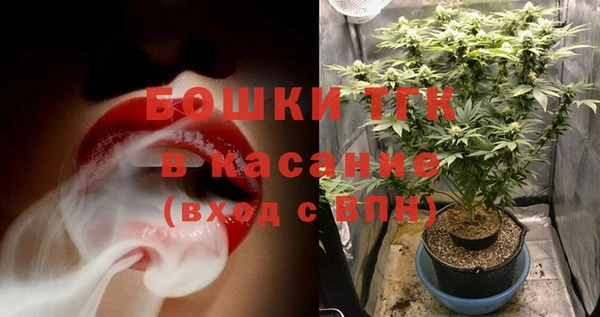 шишки Арсеньев
